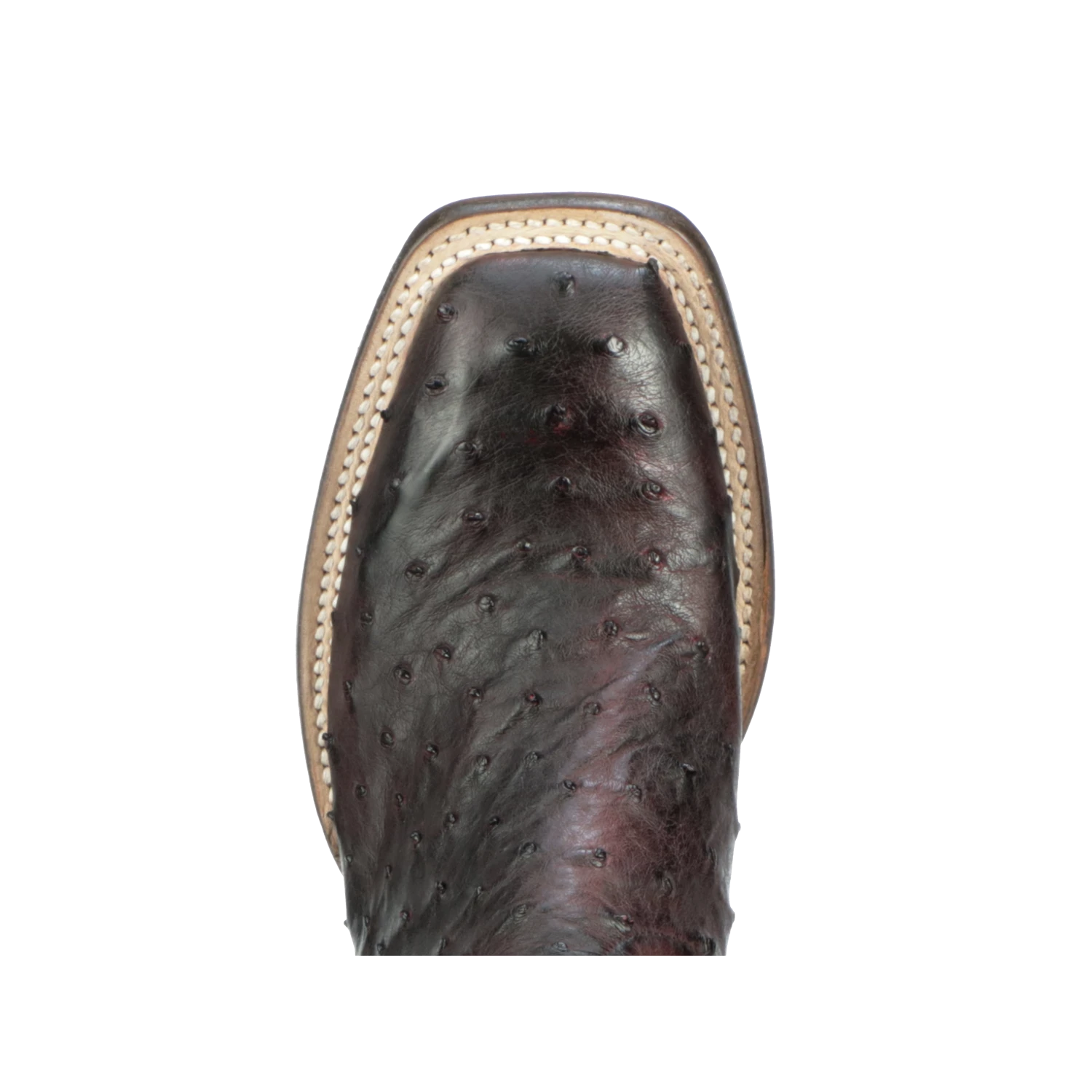 Josephine Horseman :: Antique Black Cherry - Image 3