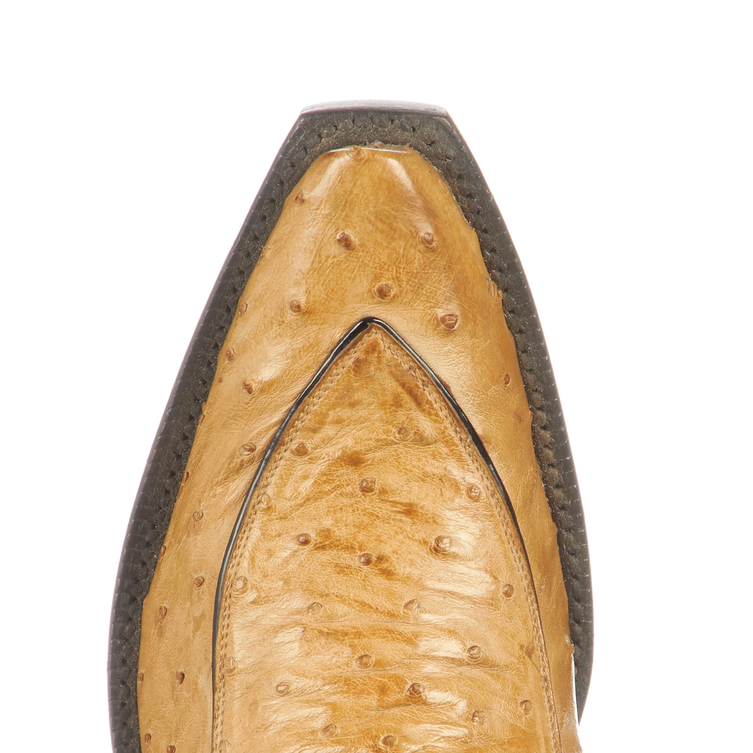 Marylin :: Tan - Image 3