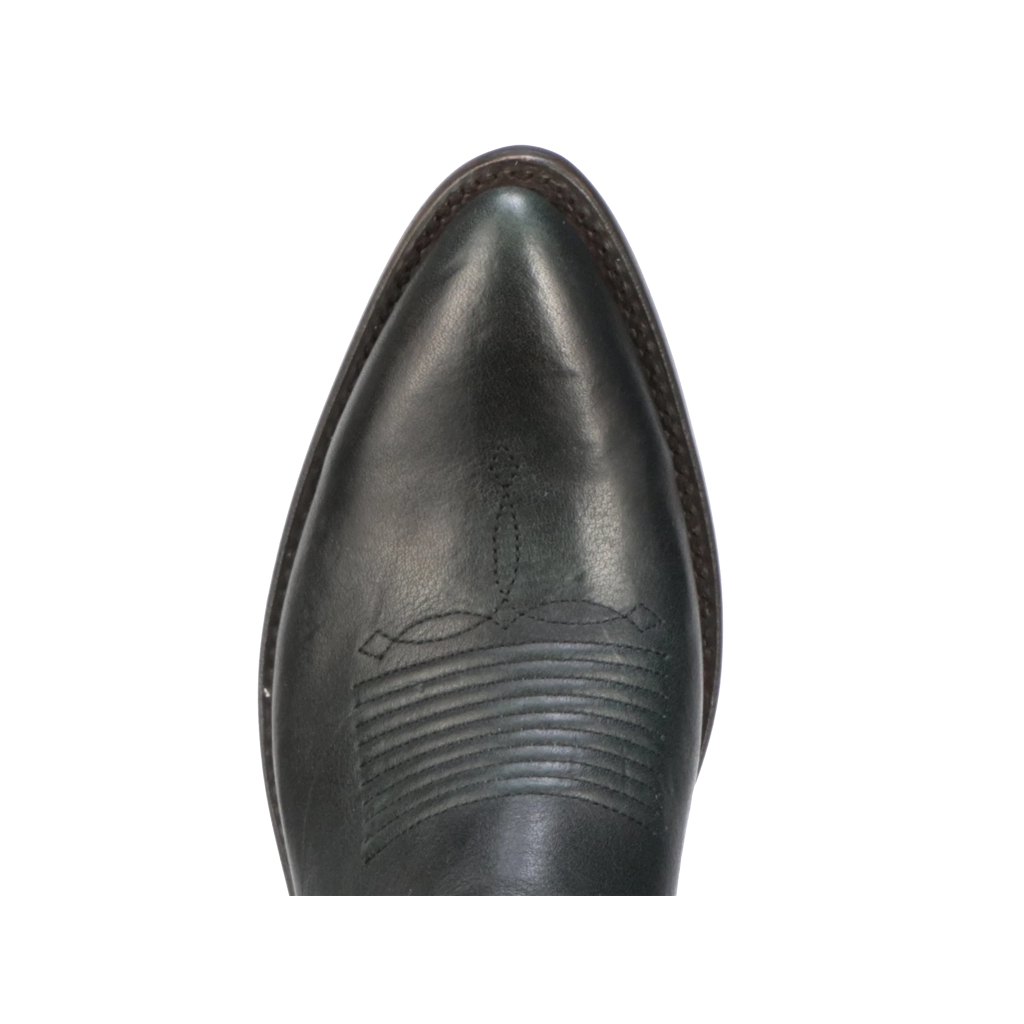 Dina :: Forest - Image 2