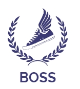 Boss Sales Store